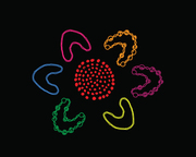 2898-376x300.jpg 2898-376x300.jpg